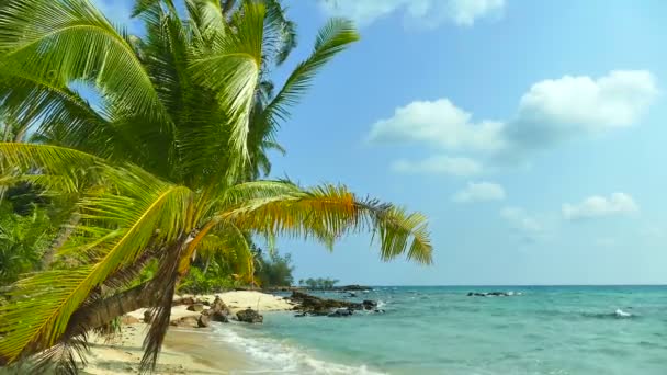 Malebný Přístav Tropickou Pláž Dovolená Cestování — Stock video