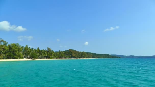 Malerischer Yachthafen Mit Tropischem Strand Urlaub Und Reisen — Stockvideo