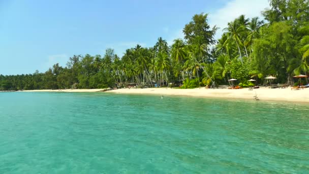 Pintoresca Marina Con Playa Tropical Vacaciones Viajes — Vídeos de Stock