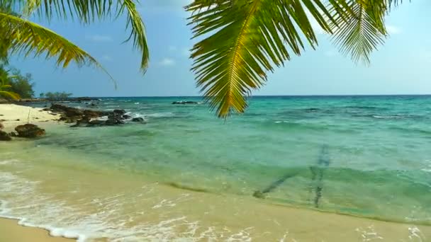 Marina Pittoresque Avec Plage Tropicale Vacances Voyages — Video