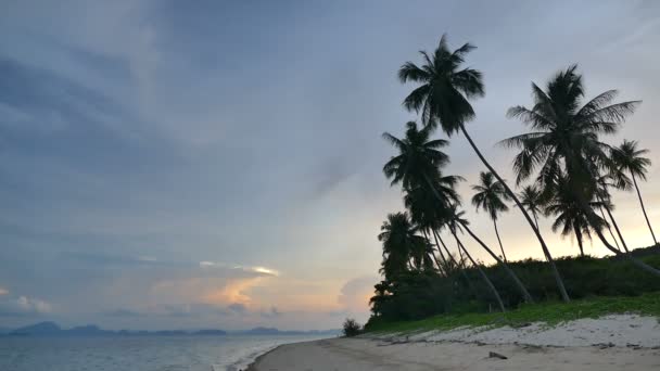 Vista Atardecer Olas Marinas Palmeras Cielo Dramático — Vídeo de stock