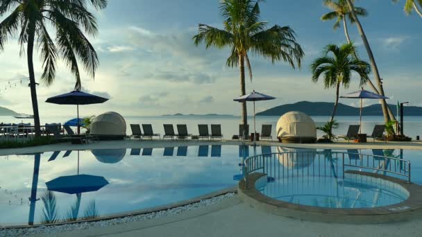 View Swimming Pool Beach Sunbeds Palm Trees Blue Sky — Stock Video