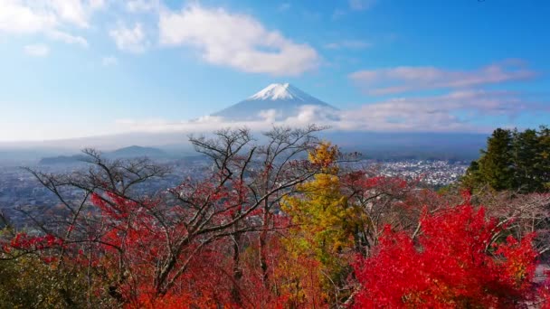 Цветной Осенний Пейзаж Горой Фудзи Японии — стоковое видео