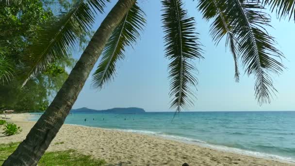 Pintoresca Marina Con Playa Tropical Vacaciones Viajes — Vídeo de stock