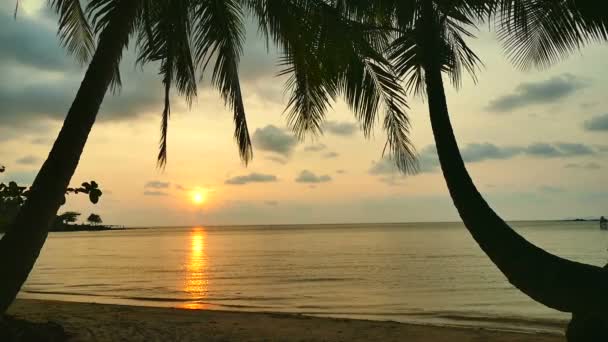 Praia Tropical Com Palmeiras Ondas Azuis Oceano Pôr Sol — Vídeo de Stock