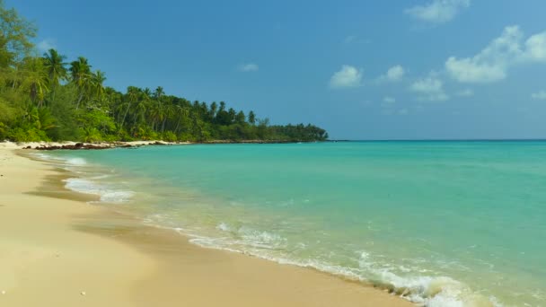 Pitoresca Marina Com Praia Tropical Férias Viagens — Vídeo de Stock