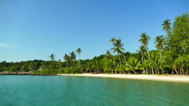 Pintoresca Marina Con Playa Tropical Vacaciones Viajes — Vídeos de Stock