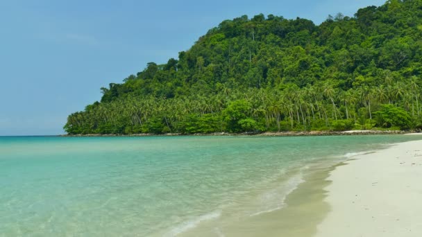 Malerischer Yachthafen Mit Tropischem Strand Urlaub Und Reisen — Stockvideo