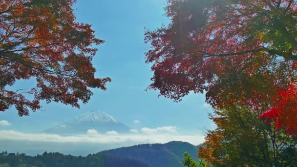 Ağaçları Manzara Şaşırtıcı Park Kırmızı Sonbahar Yaprakları Ile — Stok video