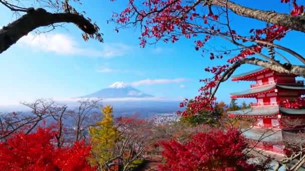 日本富士山和楚里托塔的五彩缤纷的秋天风景 — 图库视频影像