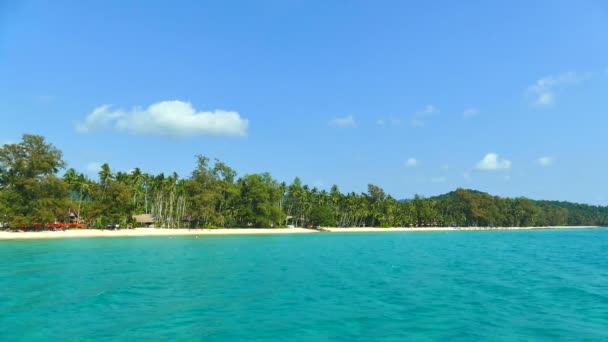 Praia Tropical Com Palmeiras Ondas Azuis Oceano — Vídeo de Stock