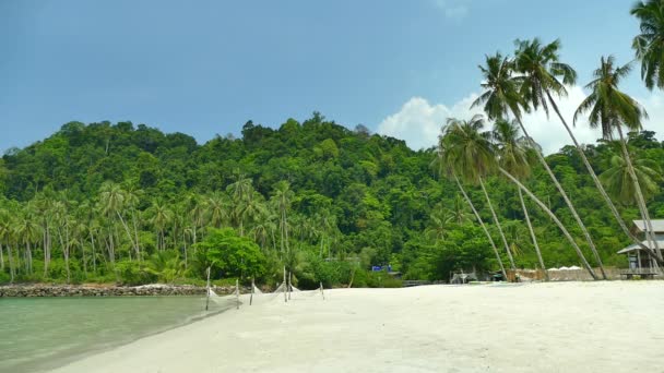 Playa Tropical Con Palmeras Olas Azules Del Océano — Vídeos de Stock