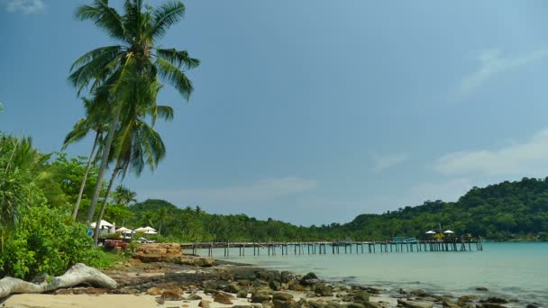Marina Indah Dengan Pantai Tropis Liburan Dan Perjalanan — Stok Video