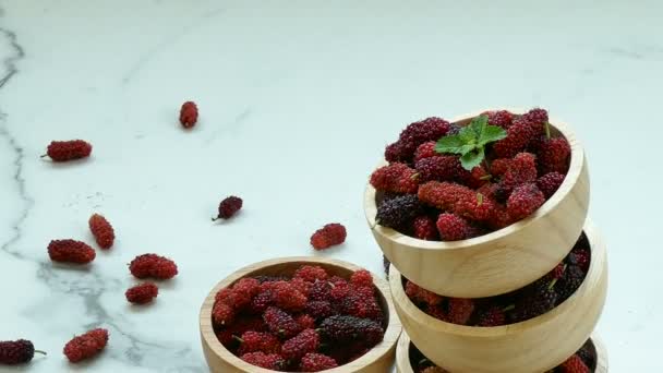 Fresh Mulberry Small Wooden Bowls — Stock Video