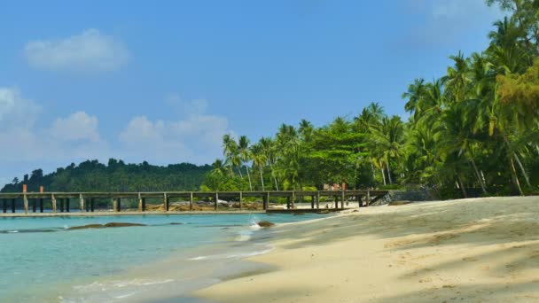 Pintoresca Marina Con Playa Tropical Vacaciones Viajes — Vídeos de Stock