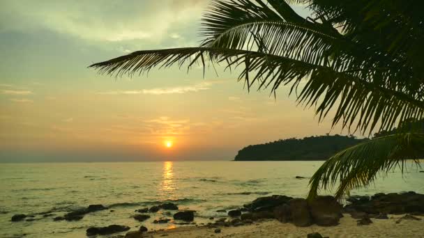 Vista Atardecer Olas Marinas Palmeras Cielo Dramático — Vídeos de Stock