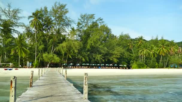 Spiaggia Tropicale Con Molo Legno Nella Giornata Sole — Video Stock