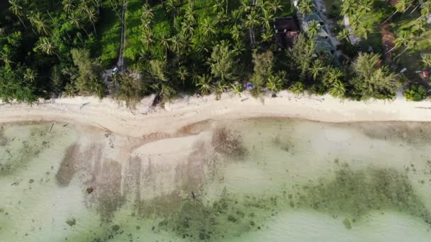 Geweldige Luchtfoto Uitzicht Zee Tropisch Eiland Zonnige Dag — Stockvideo