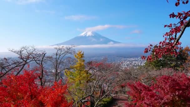 Bunte Herbstlandschaft Mit Dem Berg Fuji Japan — Stockvideo