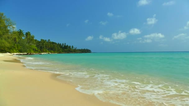 海の波と熱帯のビーチでヤシの木の景色 — ストック動画