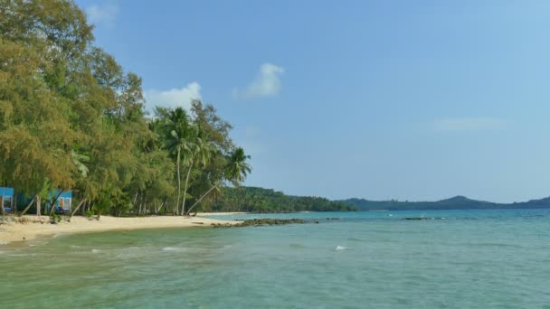 Schilderachtig Uitzicht Van Golven Van Zee Palmbomen Tropisch Strand — Stockvideo