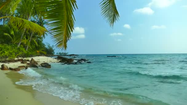 Ismarlayarak Dalgalar Deniz Tropikal Plajda Palmiye Ağaçları — Stok video