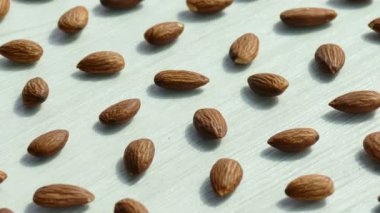 desen badem beyaz arka planda, video 