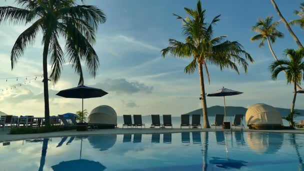 Blick Auf Pool Sonnenschirme Palmen Und Blauen Himmel — Stockvideo