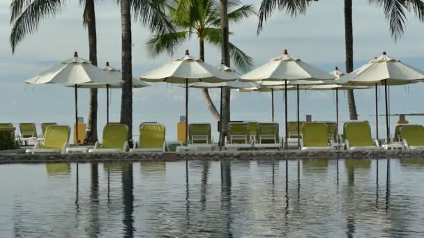 View Swimming Pool Beach Umbrellas Palm Trees Blue Sky — Stock Video