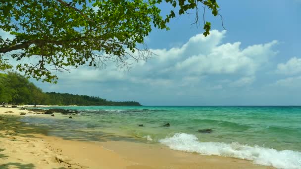 Malebný Přístav Tropickou Pláž Dovolená Cestování — Stock video