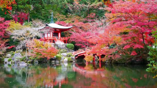 Templo Daigo Con Arces Colores Otoño Kyoto Japón — Vídeo de stock