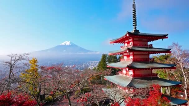 Πολύχρωμο Φθινοπωρινό Τοπίο Βουνό Fuji Και Chureito Pagoda Στην Ιαπωνία — Αρχείο Βίντεο