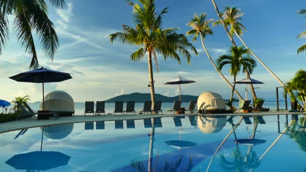 vue sur piscine, parasols et végétation tropicale luxuriante  
