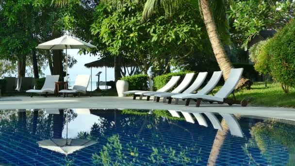 vue sur piscine, chaises longues de plage, palmiers et ciel bleu 