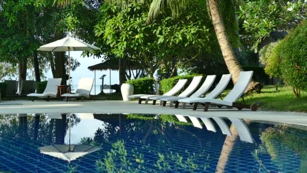 Vista Piscina Chaise Lounges Playa Palmeras Cielo Azul — Vídeo de stock