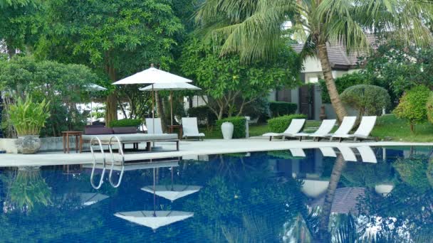 Vue Sur Piscine Parasols Végétation Tropicale Luxuriante — Video