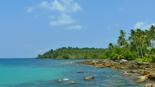 Tropischer Strand Mit Palmen Und Blauen Meereswellen — Stockvideo