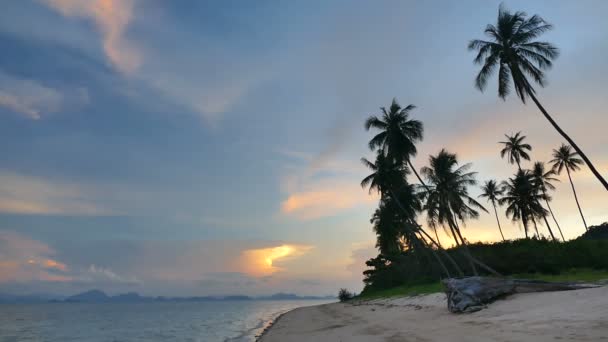 Vista Atardecer Olas Marinas Palmeras Cielo Dramático — Vídeos de Stock