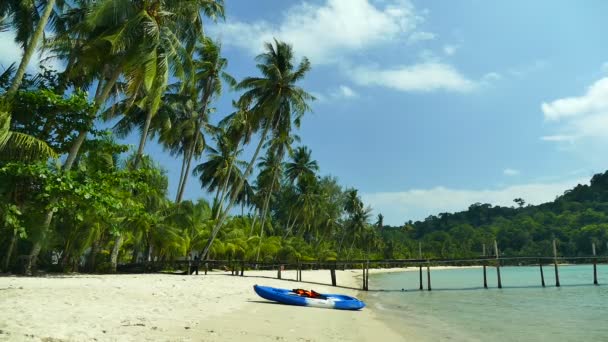 Tropisch Strand Met Palmbomen Blauwe Oceaan Golven — Stockvideo