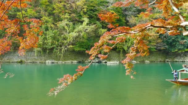 Ramas Con Follaje Otoño Rojo Lago — Vídeos de Stock