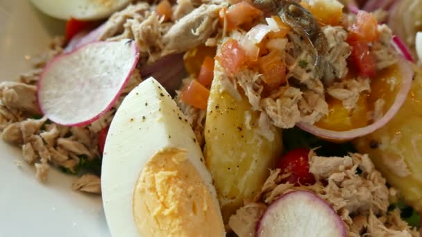 Ensalada de atún con verduras frescas — Vídeos de Stock