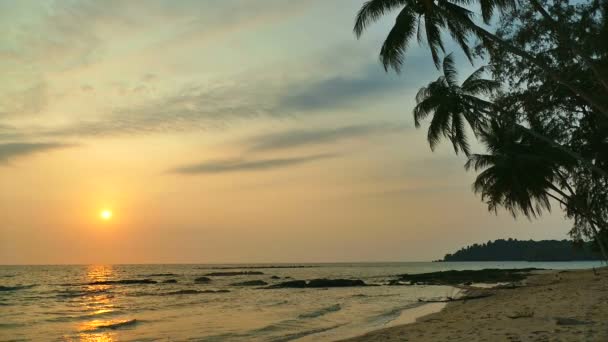 Pôr Sol Vista Das Ondas Mar Palmeiras Céu Dramático — Vídeo de Stock