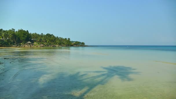 Pintoresca Marina Con Playa Tropical Vacaciones Viajes — Vídeos de Stock