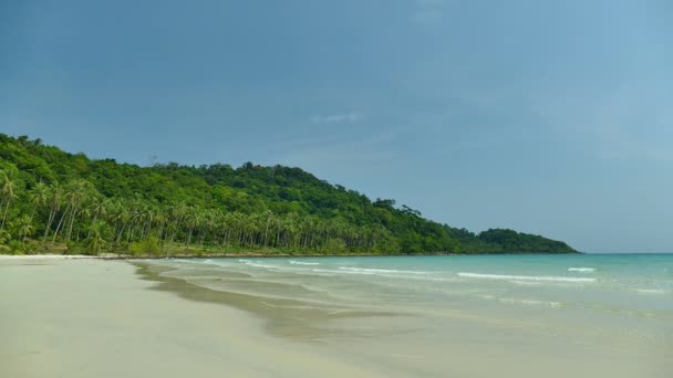 Malerischer Yachthafen Mit Tropischem Strand Urlaub Und Reisen — Stockvideo