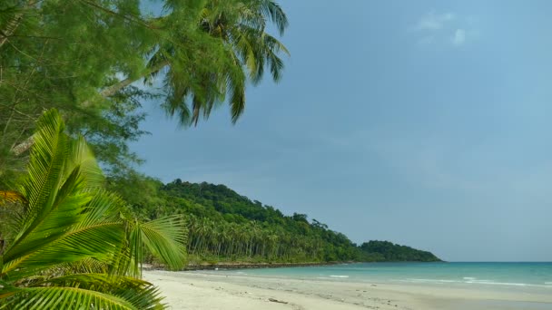 Malerischer Yachthafen Mit Tropischem Strand Urlaub Und Reisen — Stockvideo