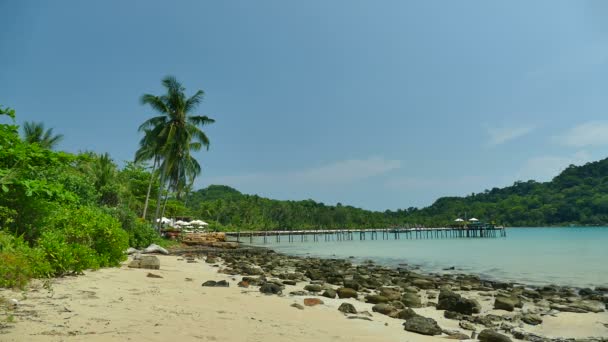 Malerischer Yachthafen Mit Tropischem Strand Urlaub Und Reisen — Stockvideo