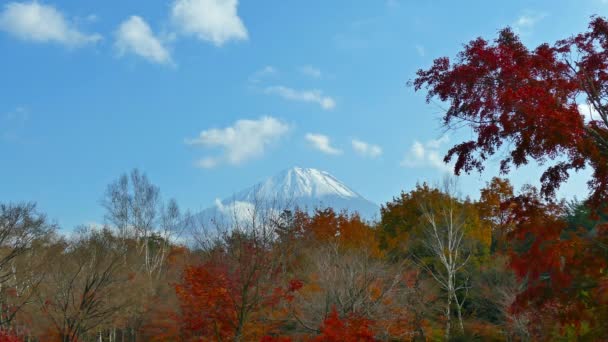 Colorful Autumn Landscape Mountain Fuji Japan — Stock Video