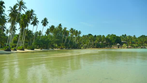 Playa Tropical Con Palmeras Olas Azules Del Océano — Vídeo de stock