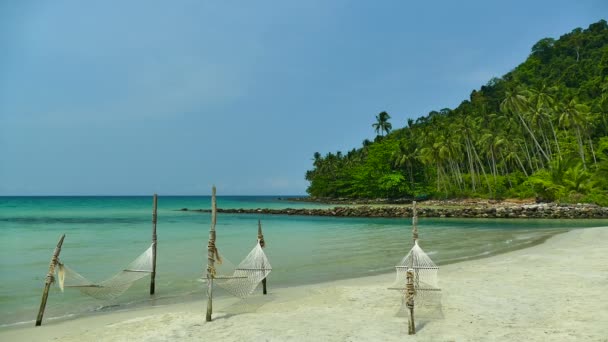 Plage Tropicale Avec Palmiers Vagues Bleu Océan — Video