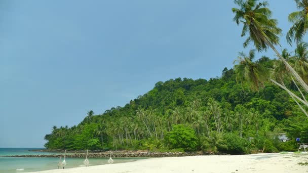 Playa Tropical Con Palmeras Olas Azules Del Océano — Vídeos de Stock